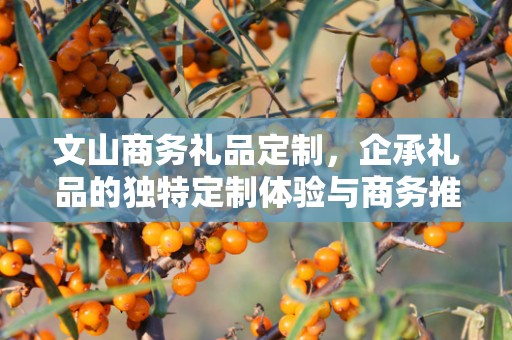 文山商务礼品定制，企承礼品的独特定制体验与商务推广价值