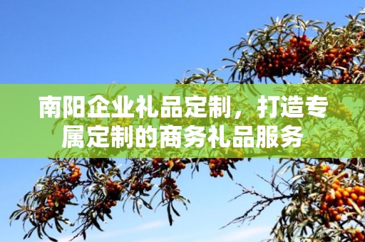 南阳企业礼品定制，打造专属定制的商务礼品服务