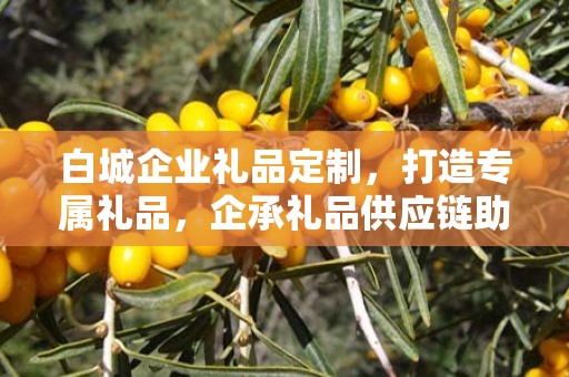 白城企业礼品定制，打造专属礼品，企承礼品供应链助力商务发展