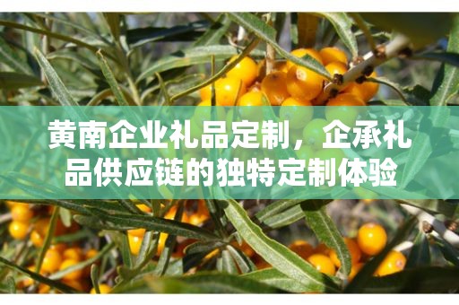 黄南企业礼品定制，企承礼品供应链的独特定制体验