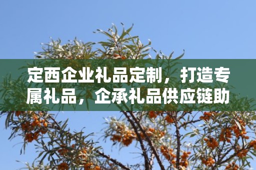 定西企业礼品定制，打造专属礼品，企承礼品供应链助力商务往来