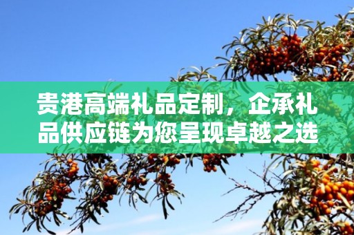 贵港高端礼品定制，企承礼品供应链为您呈现卓越之选