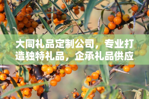 大同礼品定制公司，专业打造独特礼品，企承礼品供应链卓越服务