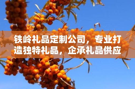 铁岭礼品定制公司，专业打造独特礼品，企承礼品供应链引领行业新风尚