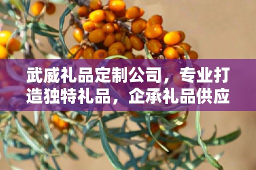 武威礼品定制公司，专业打造独特礼品，企承礼品供应链引领行业新风尚