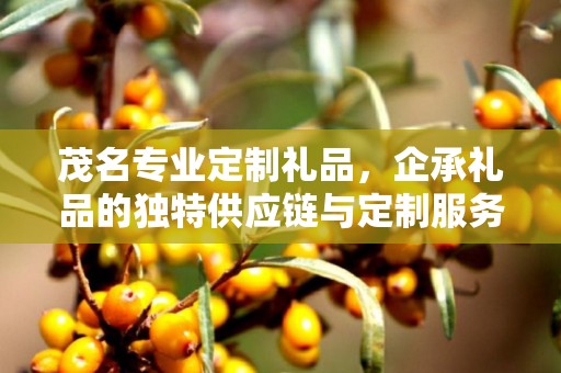 茂名专业定制礼品，企承礼品的独特供应链与定制服务