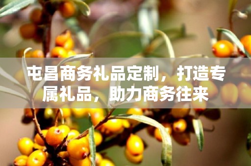 屯昌商务礼品定制，打造专属礼品，助力商务往来