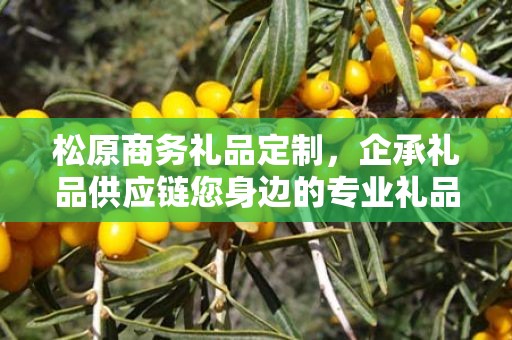 松原商务礼品定制，企承礼品供应链您身边的专业礼品定制公司
