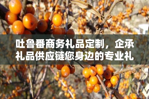 吐鲁番商务礼品定制，企承礼品供应链您身边的专业礼品定制公司