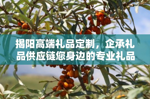 揭阳高端礼品定制，企承礼品供应链您身边的专业礼品定制公司