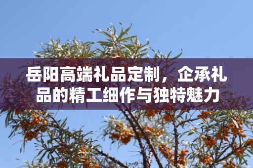 岳阳高端礼品定制，企承礼品的精工细作与独特魅力