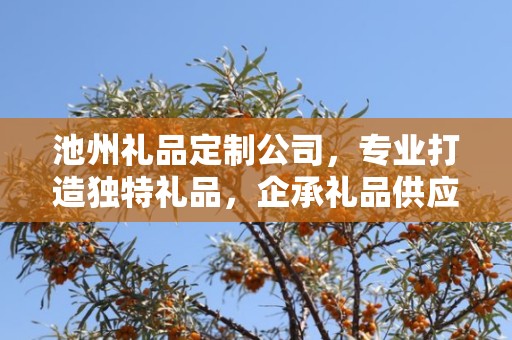 池州礼品定制公司，专业打造独特礼品，企承礼品供应链引领行业前沿
