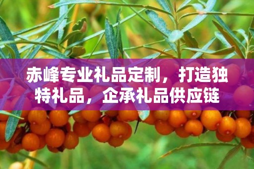 赤峰专业礼品定制，打造独特礼品，企承礼品供应链