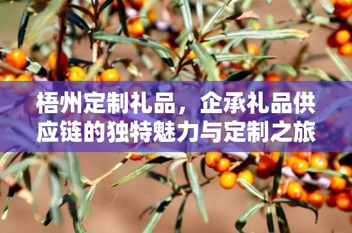 梧州定制礼品，企承礼品供应链的独特魅力与定制之旅