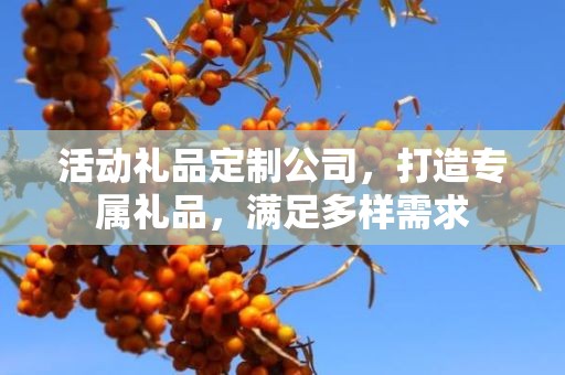 活动礼品定制公司，打造专属礼品，满足多样需求