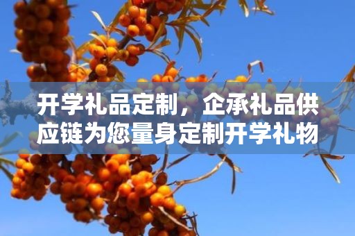 开学礼品定制，企承礼品供应链为您量身定制开学礼物