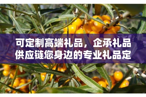 可定制高端礼品，企承礼品供应链您身边的专业礼品定制公司