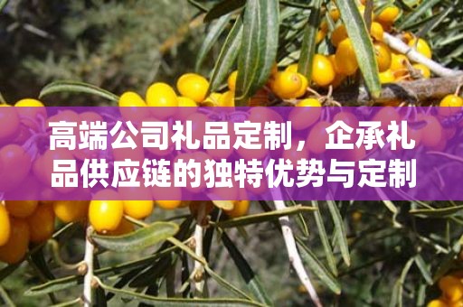 高端公司礼品定制，企承礼品供应链的独特优势与定制体验