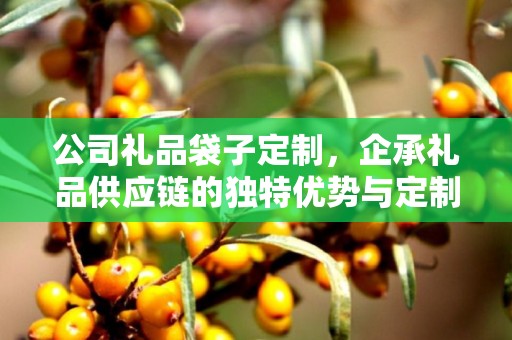 公司礼品袋子定制，企承礼品供应链的独特优势与定制体验