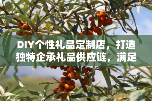 DIY个性礼品定制店，打造独特企承礼品供应链，满足个性化需求的新时代之选