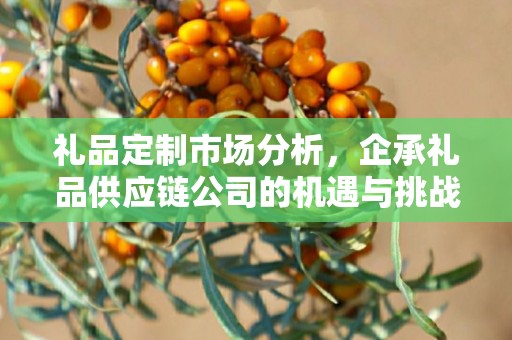 礼品定制市场分析，企承礼品供应链公司的机遇与挑战