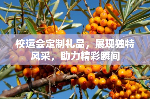 校运会定制礼品，展现独特风采，助力精彩瞬间