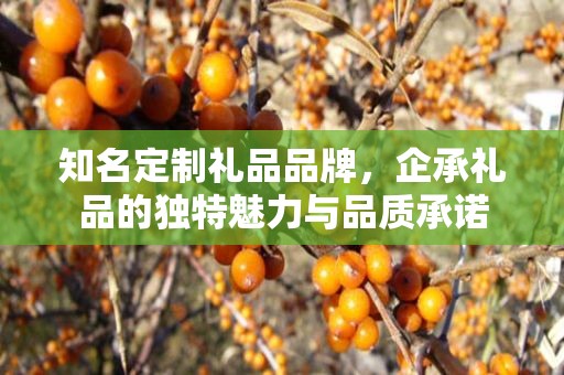 知名定制礼品品牌，企承礼品的独特魅力与品质承诺